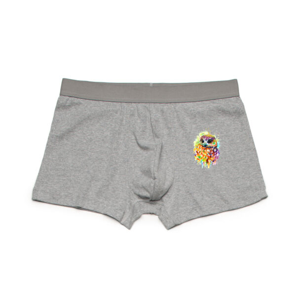 Ruru Owl - Mens Basic Tee - Mens Basic Tee - Men's Boxer Briefs Thumbnail