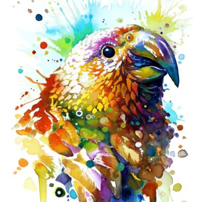 114585636 1166501973723799 332876169599390752 n Thumbnail